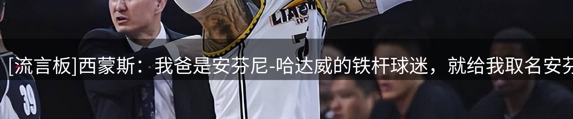 新闻资讯